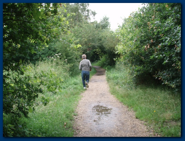 600x449 pixels (171K)